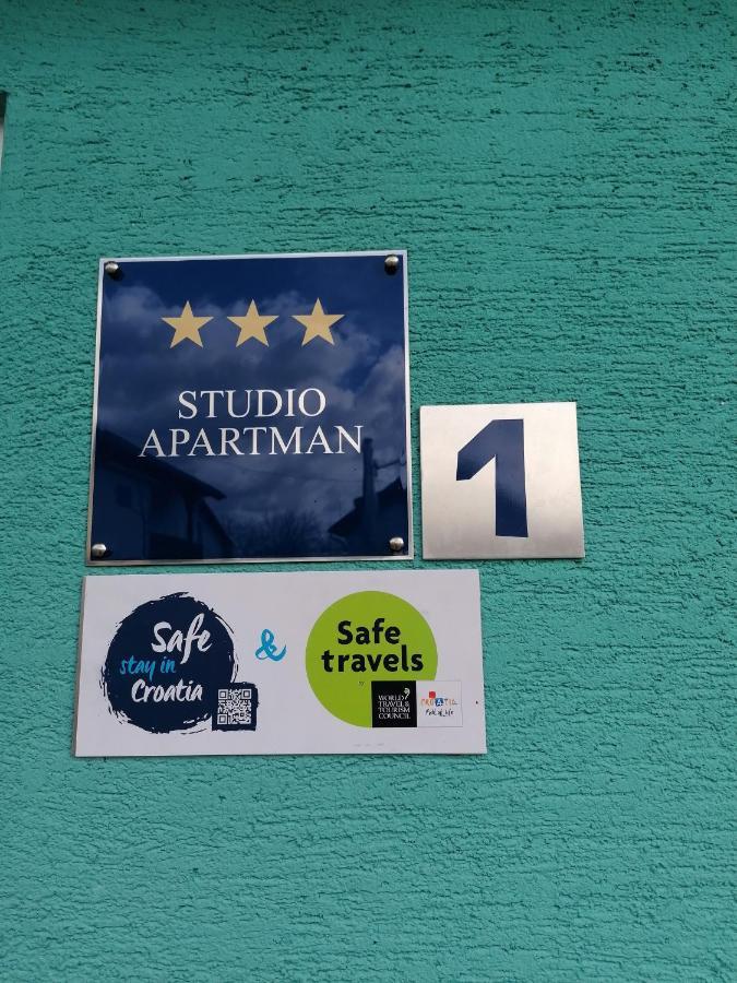 Studio Apartman Zorkovac Apartman Ozaly Kültér fotó