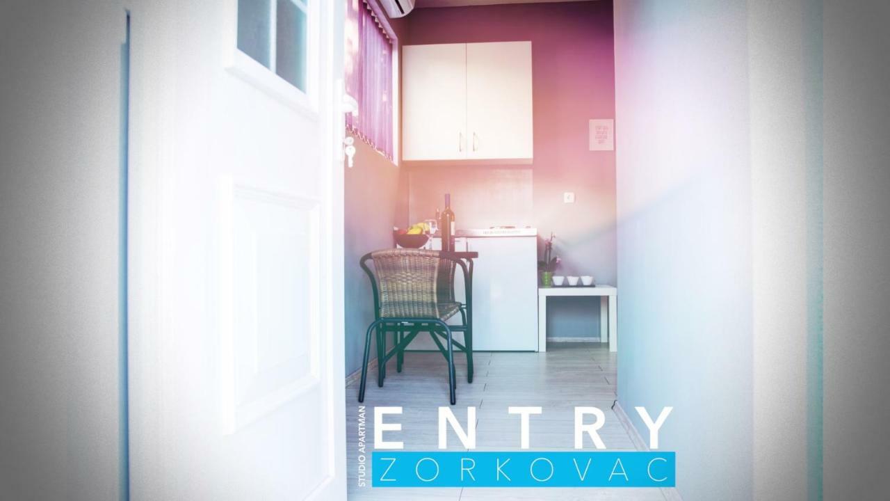 Studio Apartman Zorkovac Apartman Ozaly Kültér fotó