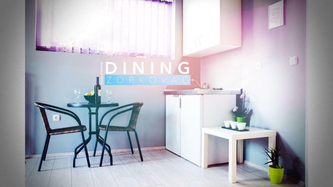 Studio Apartman Zorkovac Apartman Ozaly Kültér fotó