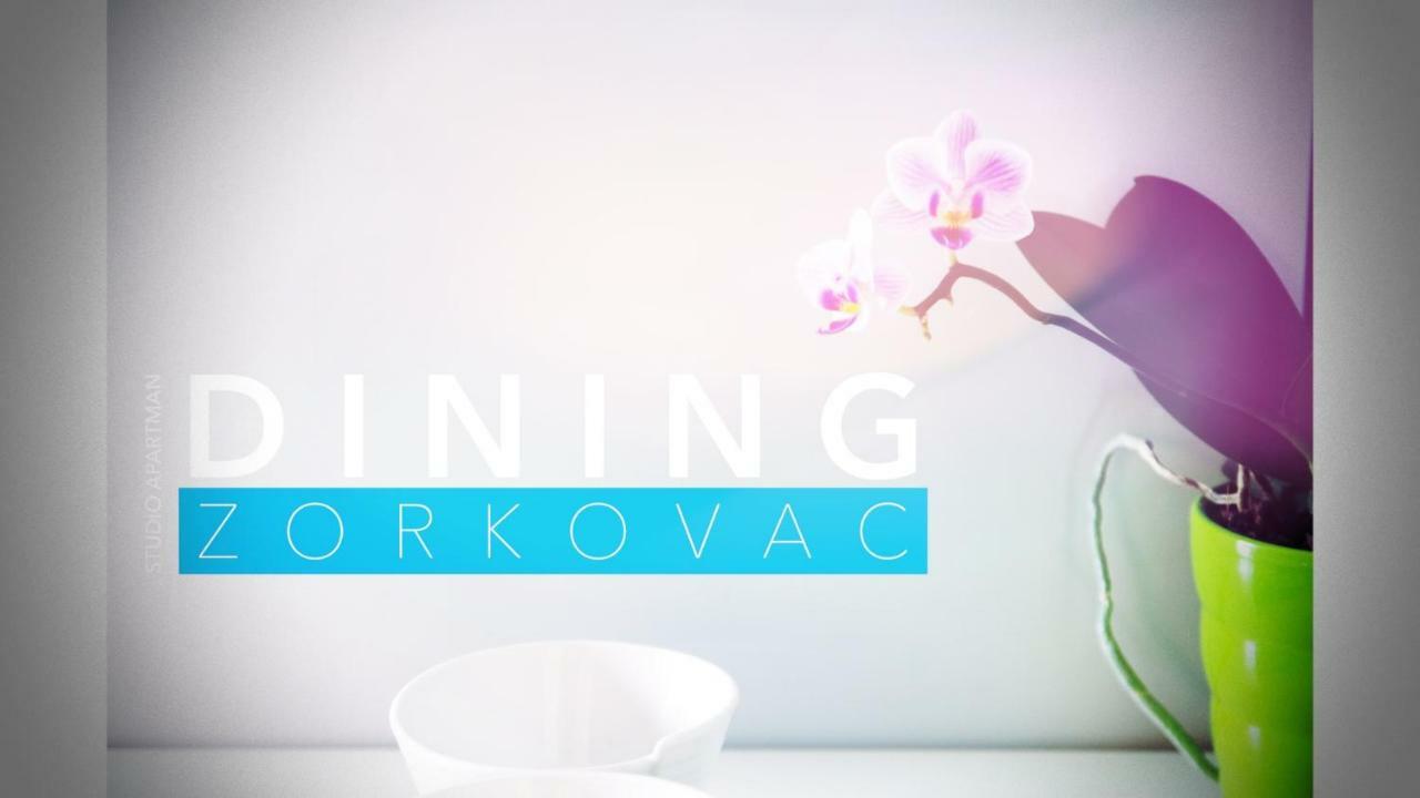 Studio Apartman Zorkovac Apartman Ozaly Kültér fotó