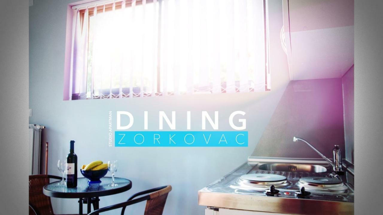Studio Apartman Zorkovac Apartman Ozaly Kültér fotó