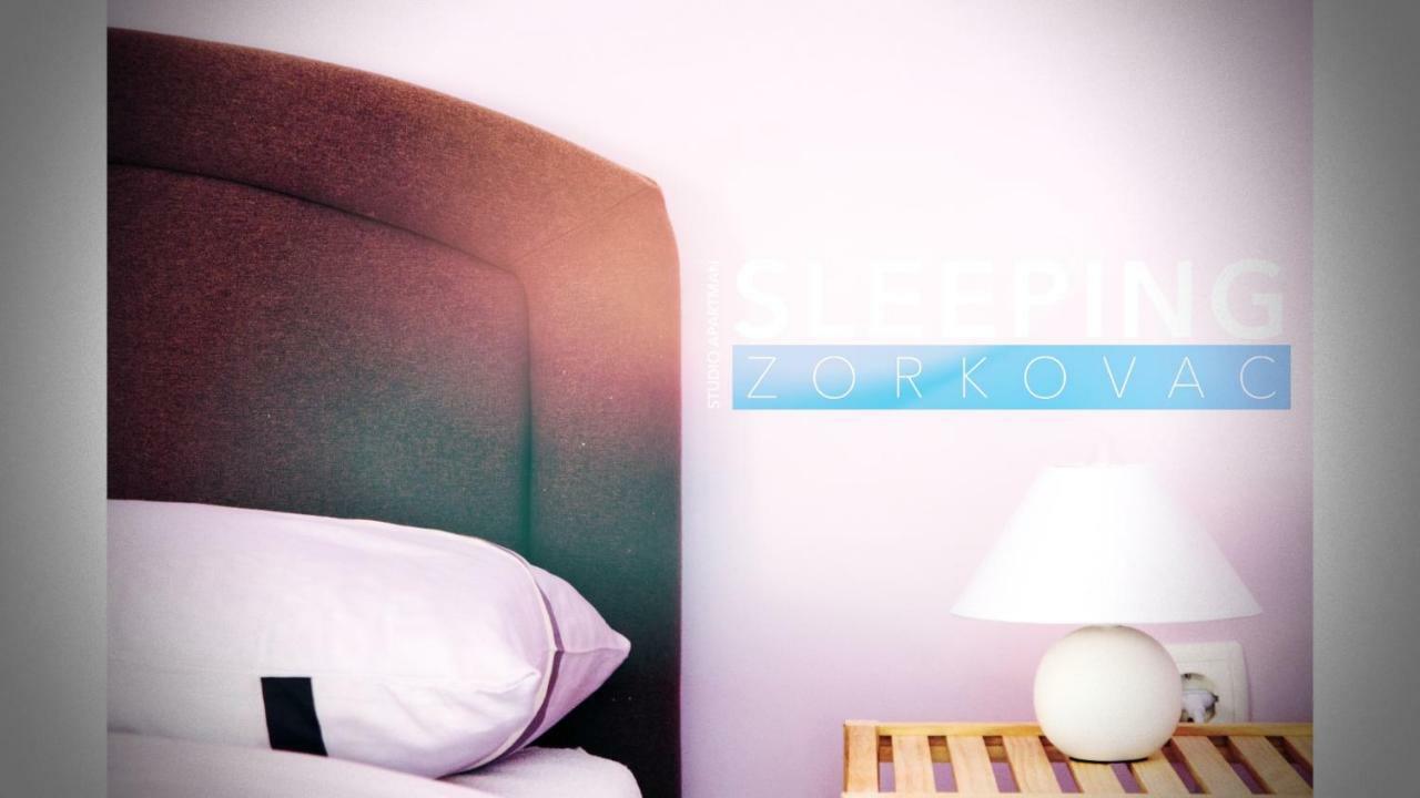 Studio Apartman Zorkovac Apartman Ozaly Kültér fotó