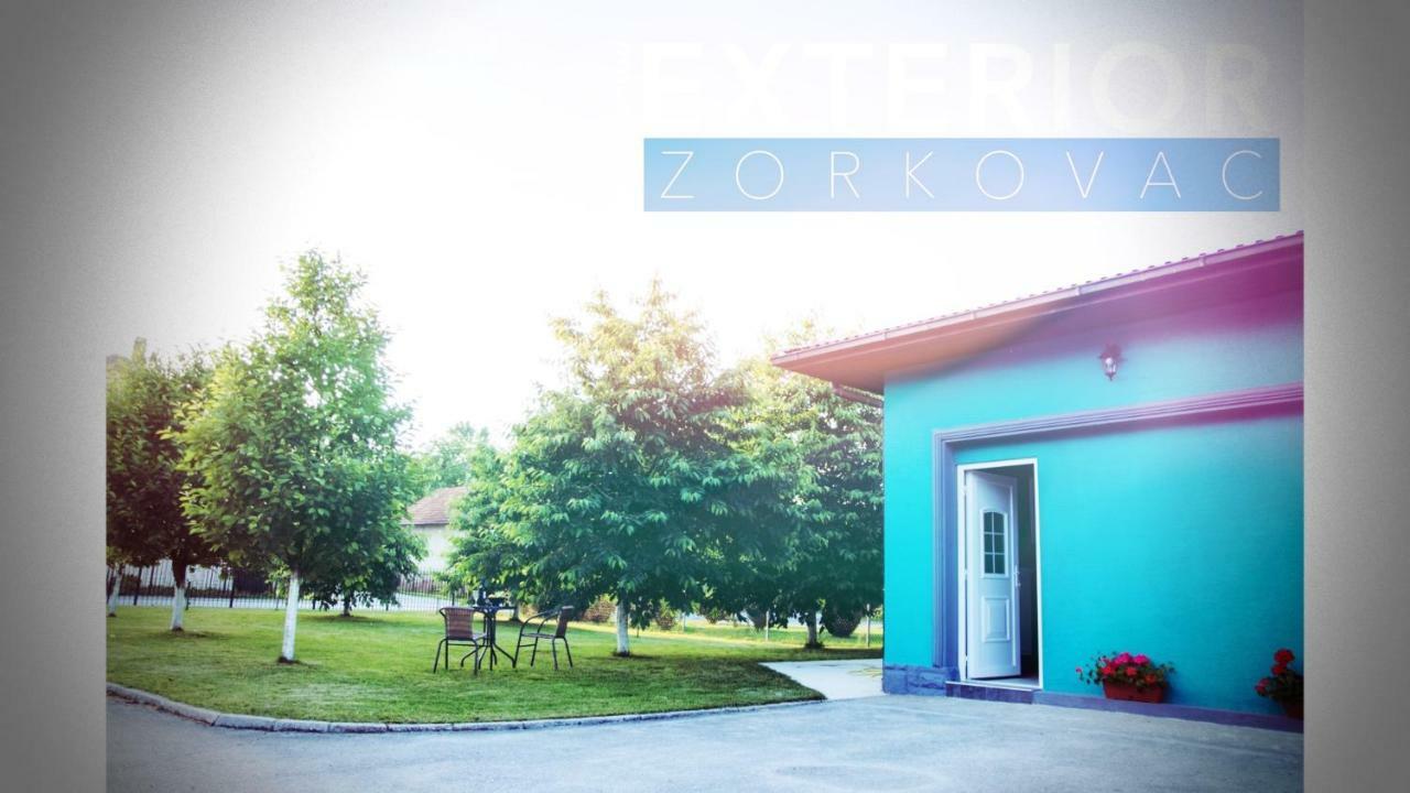 Studio Apartman Zorkovac Apartman Ozaly Kültér fotó