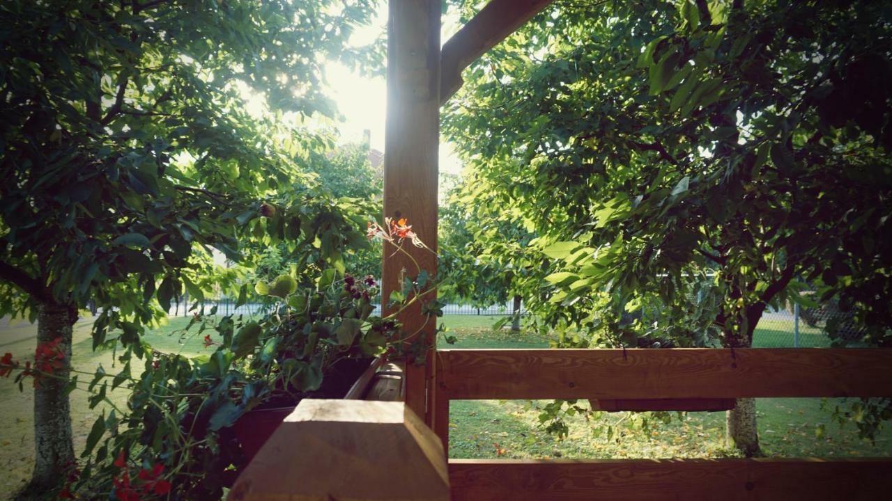 Studio Apartman Zorkovac Apartman Ozaly Kültér fotó